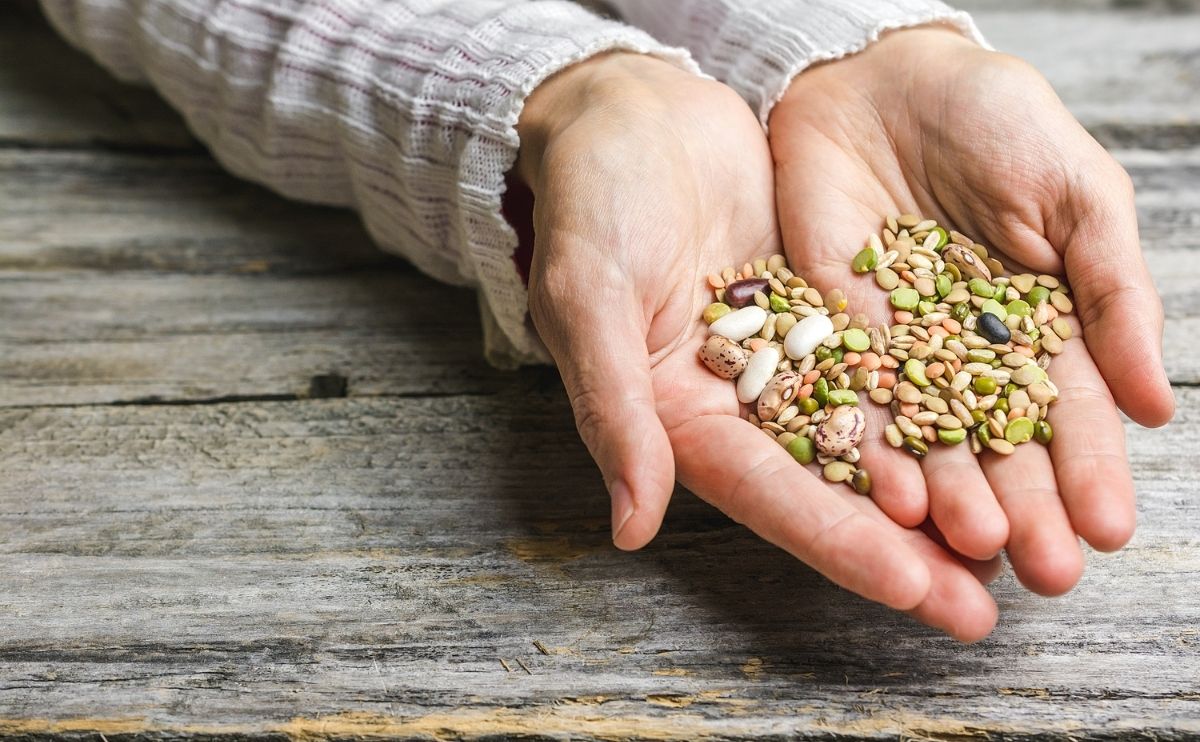 Beneficios de las semillas en tu alimentación
